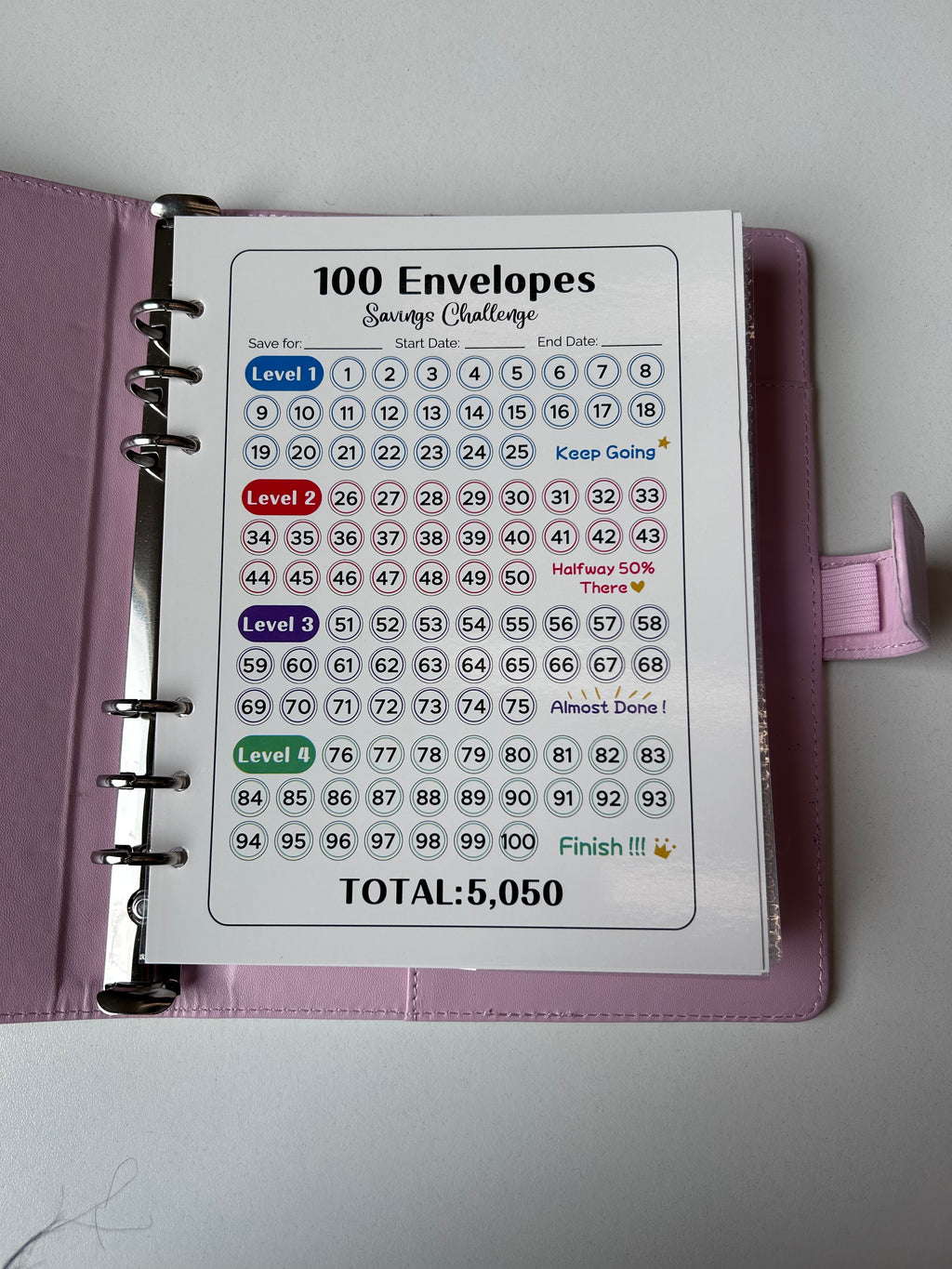 100 Envelopes Saving Binder